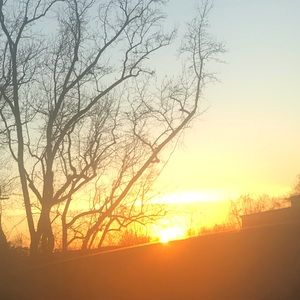 Meet your Posher, Kai